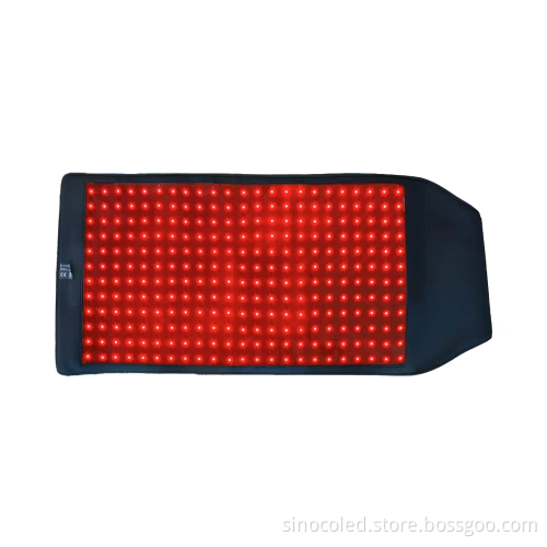 Red Light Therapy Instruments for Equine and Pet Care